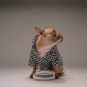 Dog Walking Gift Certificate