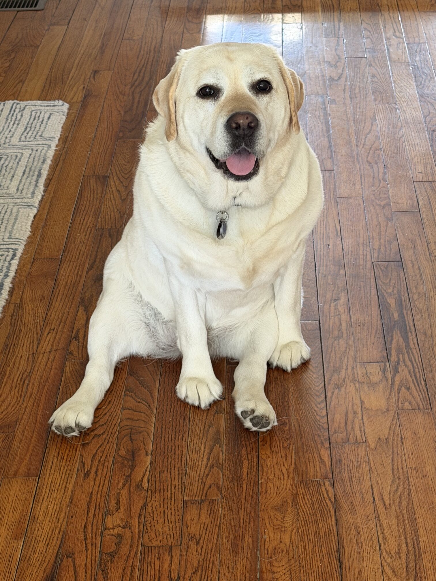 Riley Regular Walk Client