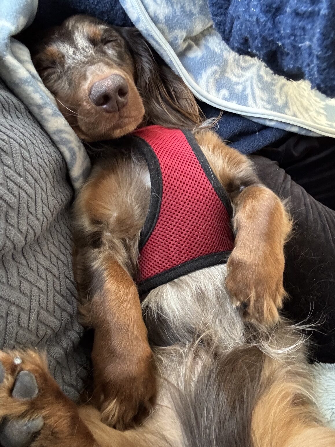 Max